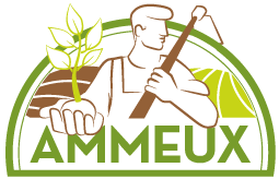 Ferme de Ammeux